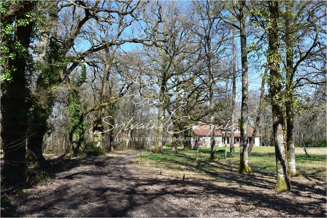 Casa en Lamotte-Beuvron, Centro-Val de Loira, Francia 1 - 17355181