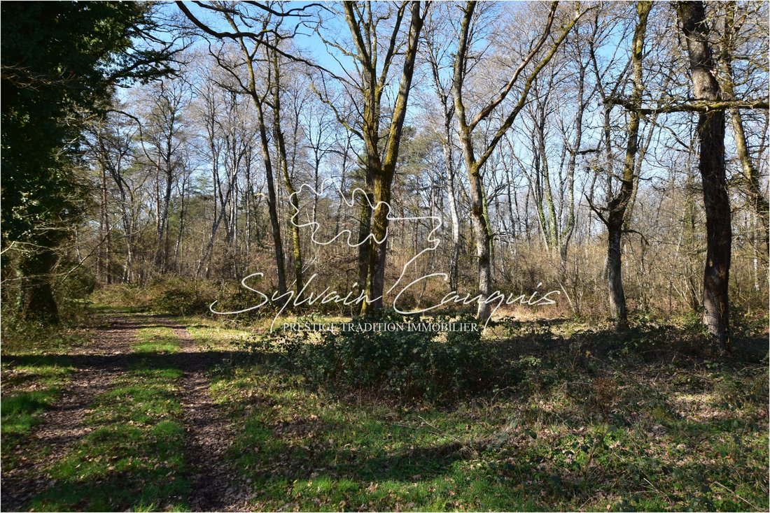 Casa en Lamotte-Beuvron, Centro-Val de Loira, Francia 3 - 17355181