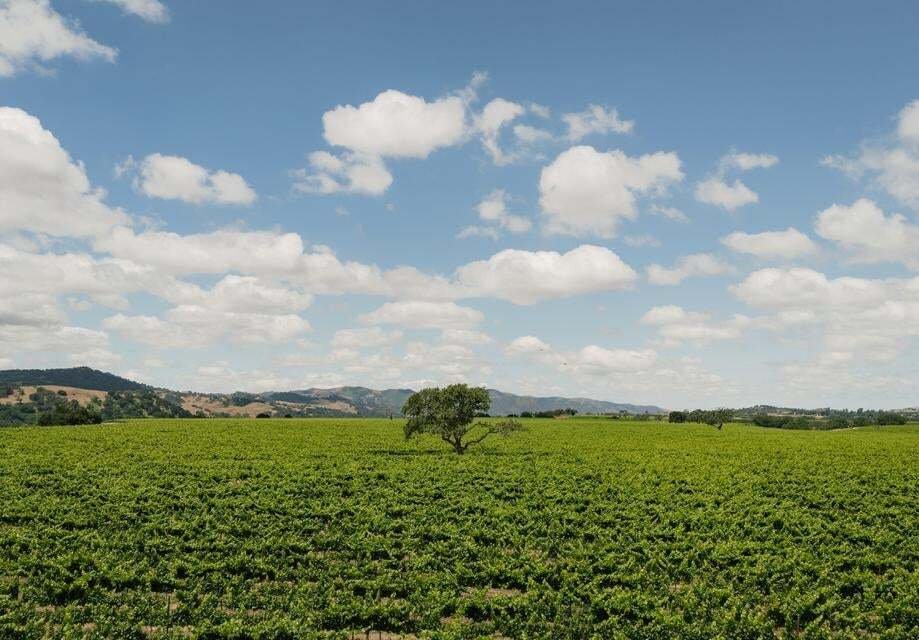 Casa a Santa Ynez, California, Stati Uniti 5 - 19038850