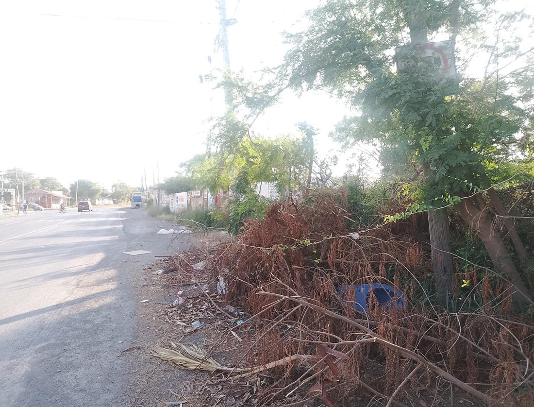 Land in Ciudad Apodaca, Nuevo Leon, Mexico 5 - 19038483