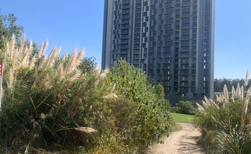 Land in Naucalpan de Juárez, Bundesstaat Mexiko, Mexiko 1