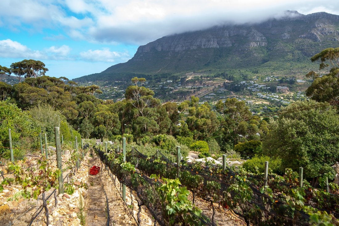 Farm Ranch in Hout Bay, South Peninsula, Cape Town 1 - 17253997