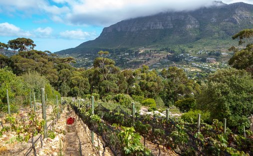 Farm Ranch in Hout Bay, South Peninsula, Cape Town 1