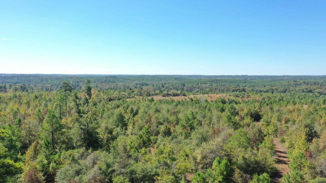 Terrain à Karnack, Texas, États-Unis 2 - 19038289