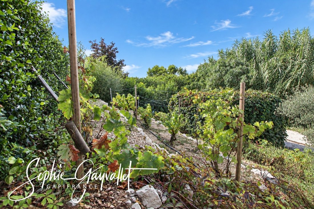 Villa in Noyau Villageois-Zone Urbaine, Velaux, France 3 - 19037599