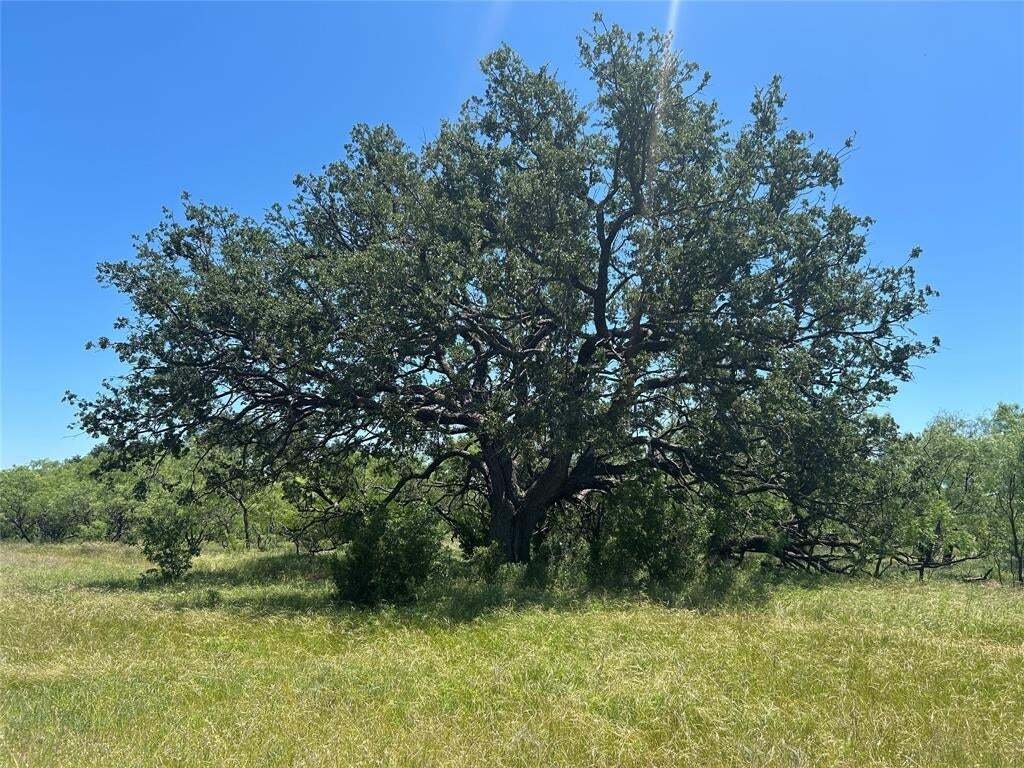 Farm Ranch in Gouldbusk, Texas, United States 5 - 19039472