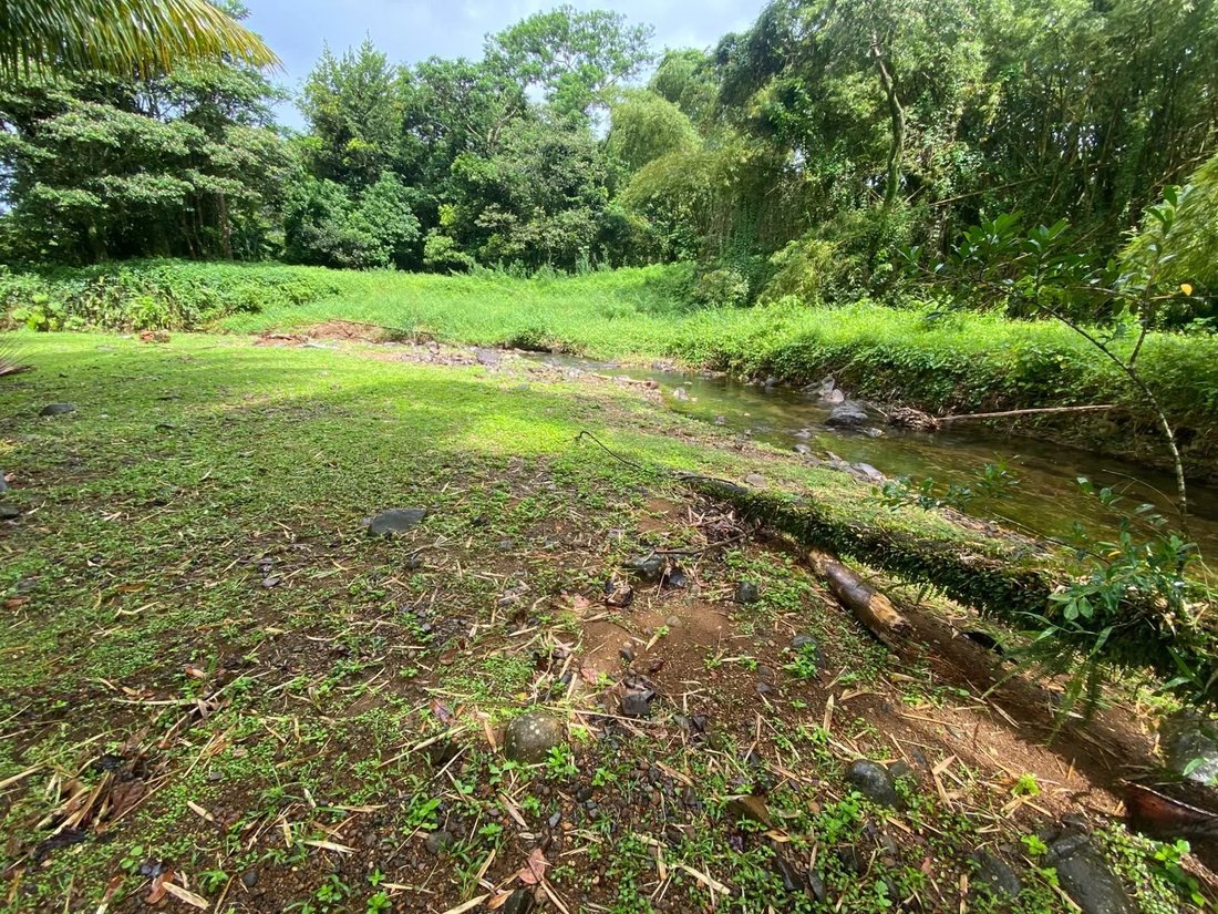 Estate in Le Morne Rouge, Saint-Pierre, Martinique 5 - 19040548