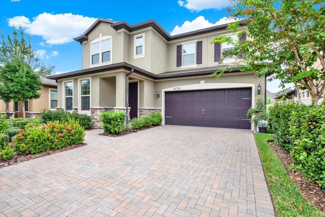 House in Land O' Lakes, Florida, United States 5 - 19038778