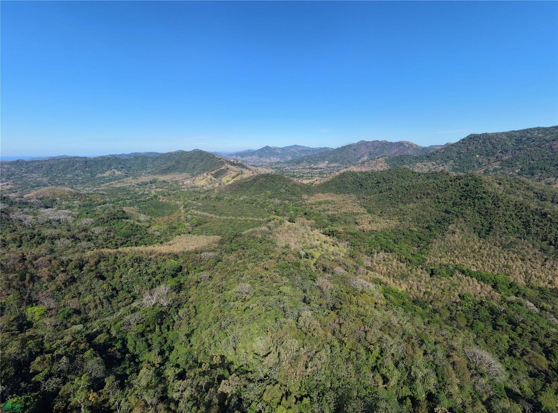 Terreno a Esperanza, Provincia di Puntarenas, Costa Rica 4 - 17810865