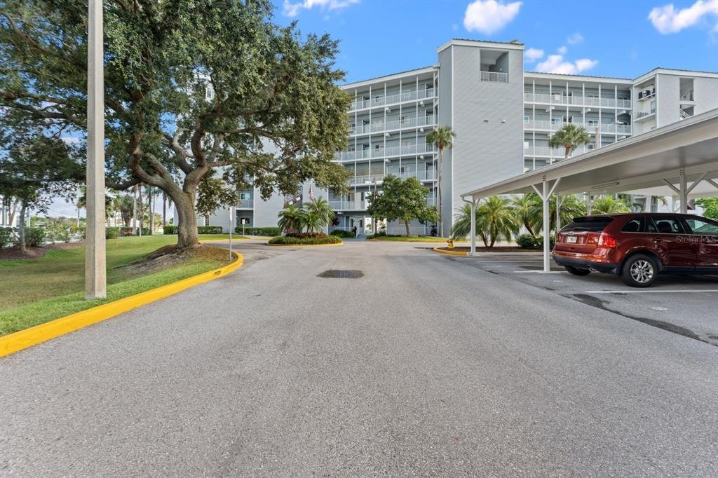 Altro a Clearwater, Florida, Stati Uniti 1 - 19037655