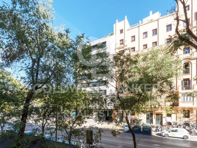 Apartment in Tetuan, Madrid, Spain 3 - 19040198