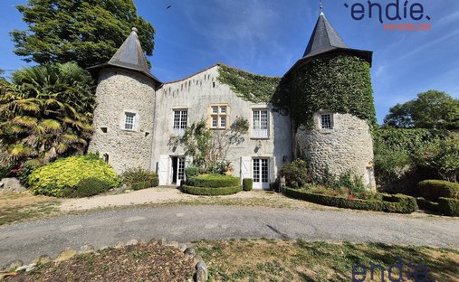 Chateau  en Labroquère, Occitania, Francia 1