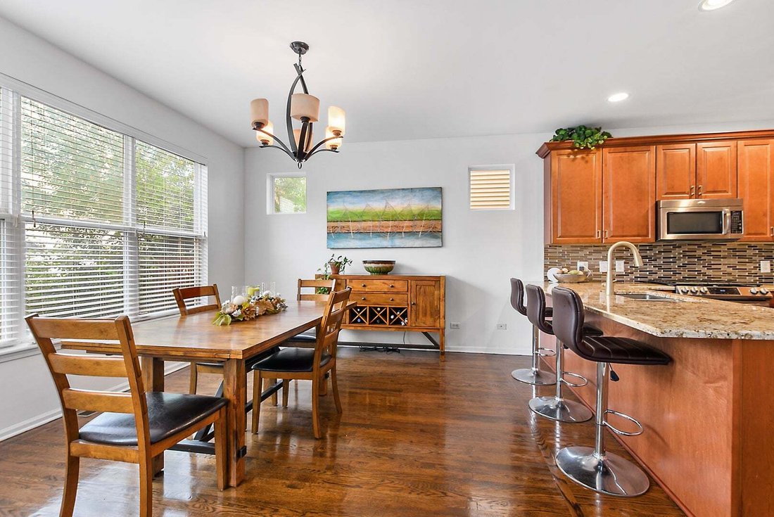 Townhouse in Chicago, Illinois, United States 3 - 19040014