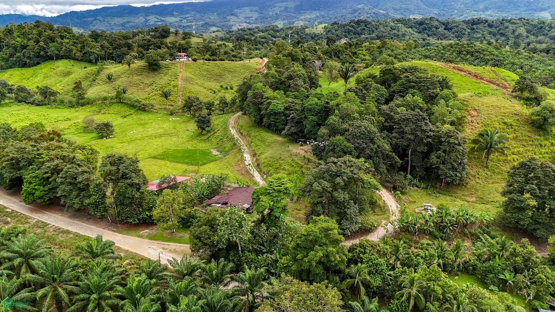 Haus in Venecia, Provinz Puntarenas, Costa Rica 4 - 18995384
