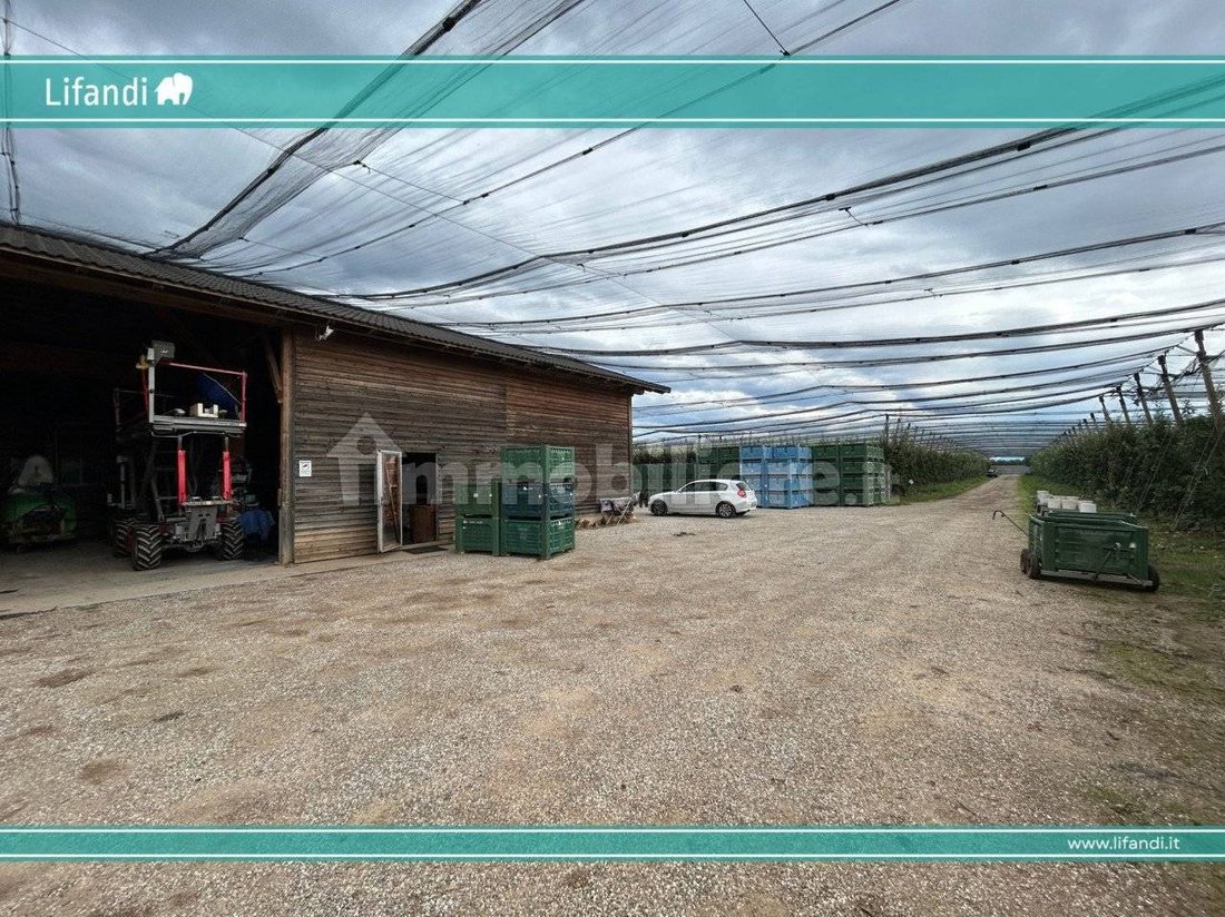 Land in Castions di Strada / Cjasteons di Strade, Friaul-Julisch Venetien, Italien 1 - 14386420
