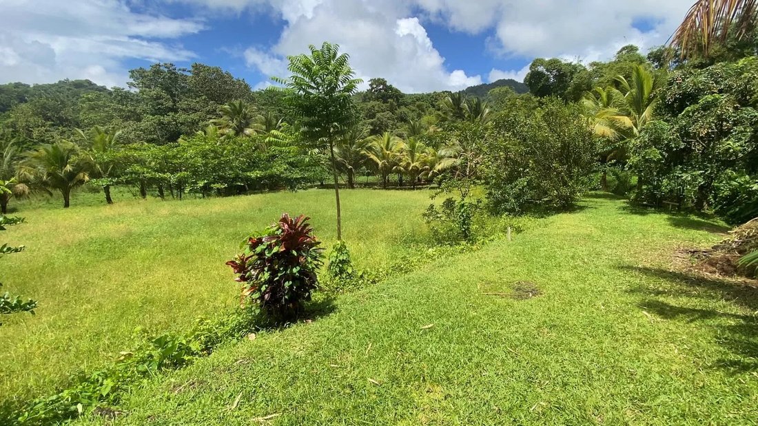 Estate in Le Morne Rouge, Saint-Pierre, Martinique 3 - 19040548