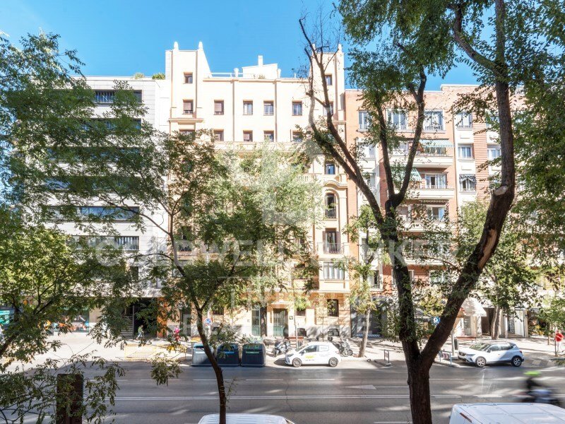 Apartment in Tetuan, Madrid, Spain 1 - 19040198