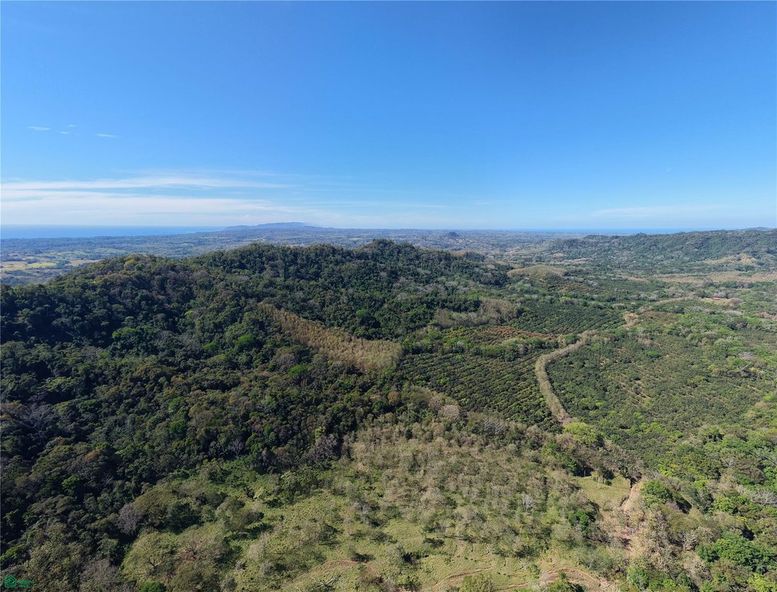 Terreno a Esperanza, Provincia di Puntarenas, Costa Rica 5 - 17810865