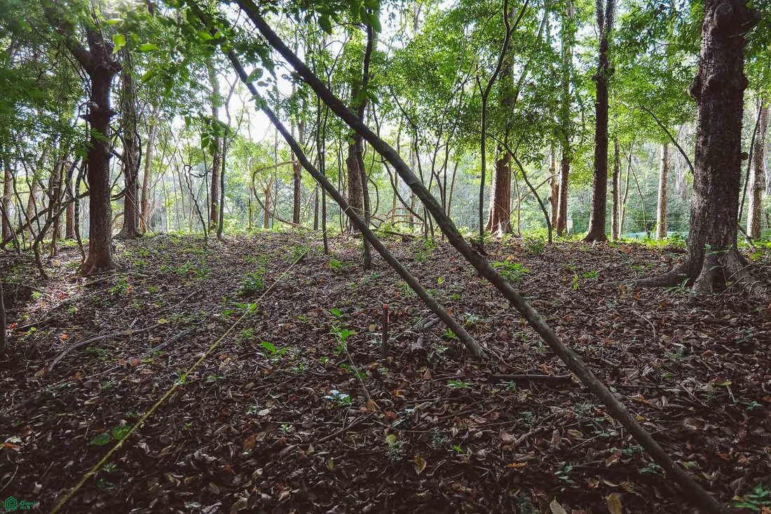 Land in Cuajiniquil, Santa Cruz, Costa Rica 5 - 18459481