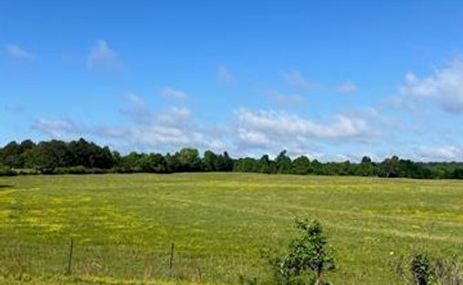 Terrain à Oneonta, Alabama, États-Unis 1