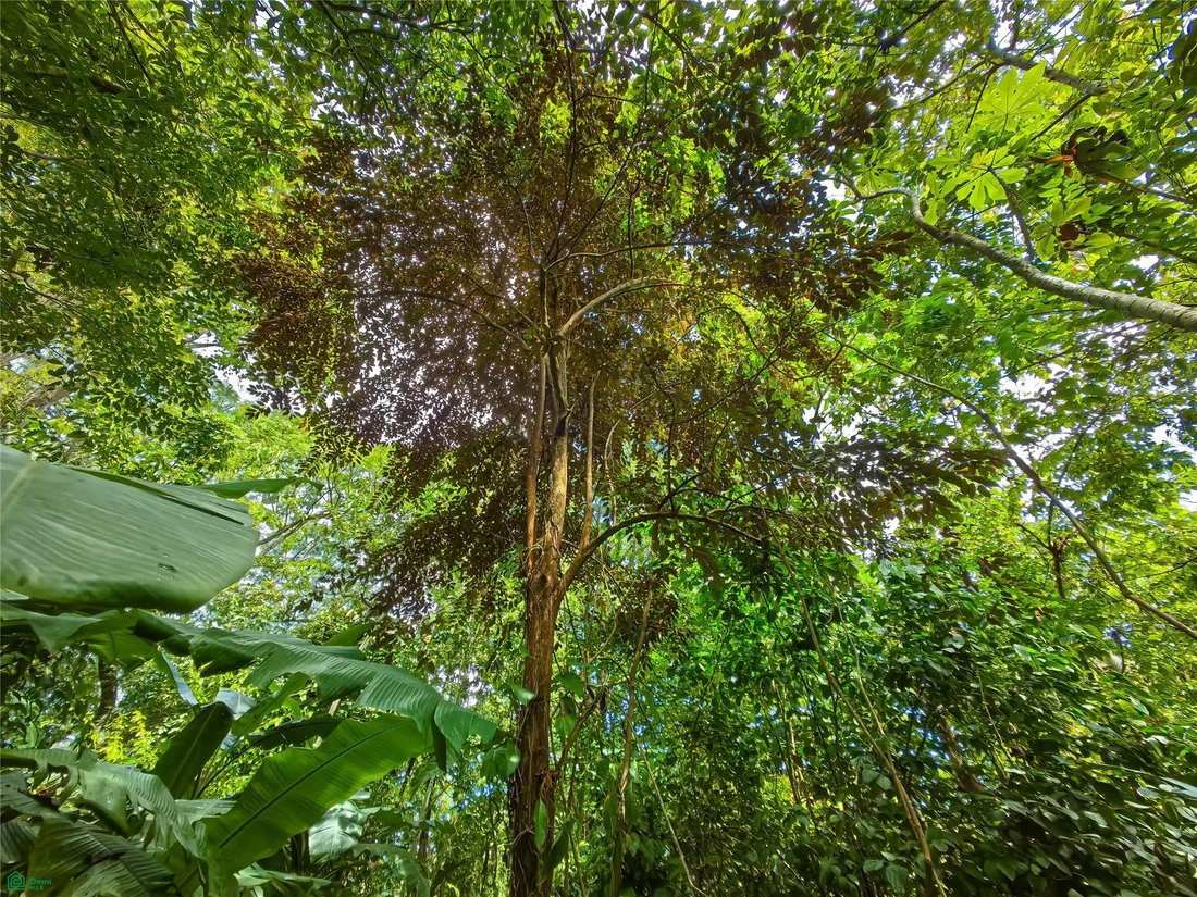 Terreno en Santa Teresa, Provincia de Puntarenas, Costa Rica 5 - 17810867