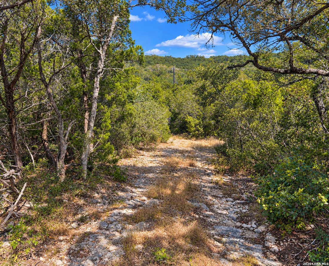 Farm Ranch in Helotes, Texas, United States 5 - 19041020