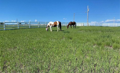 Rancho en Franktown, Colorado, Estados Unidos 1
