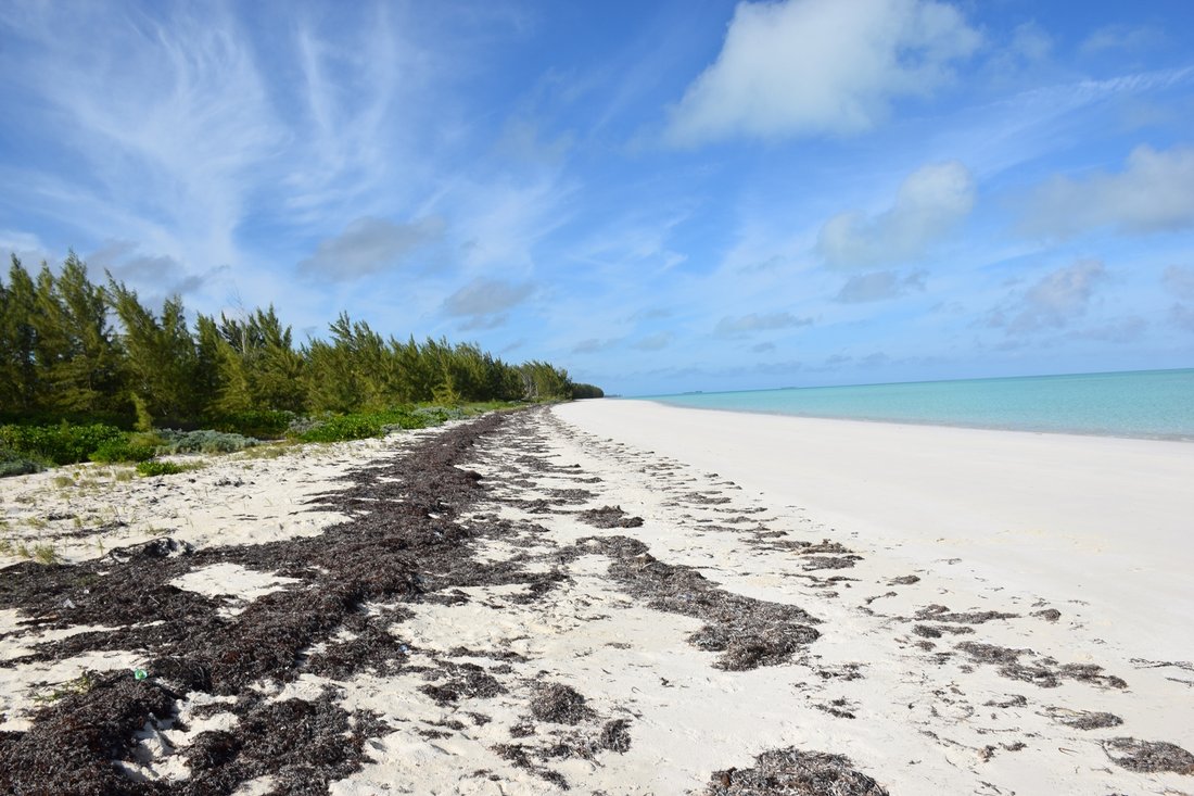 Terrain à Deep Creek Settlement, South Andros, Bahamas 4 - 19040272