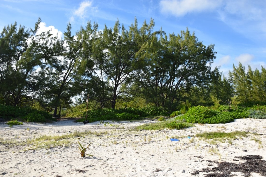 Terrain à Deep Creek Settlement, South Andros, Bahamas 5 - 19040272
