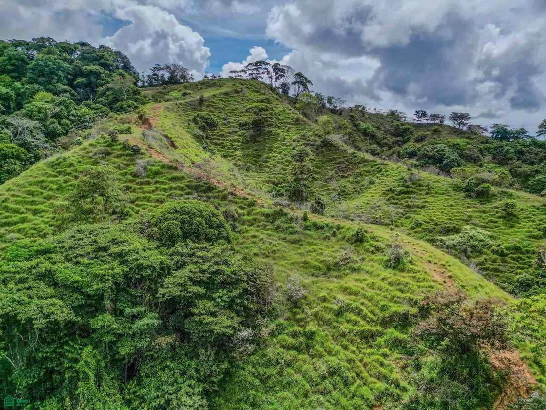 Terrain à Savegre de Aguirre, Puntarenas, Costa Rica 1 - 18592222
