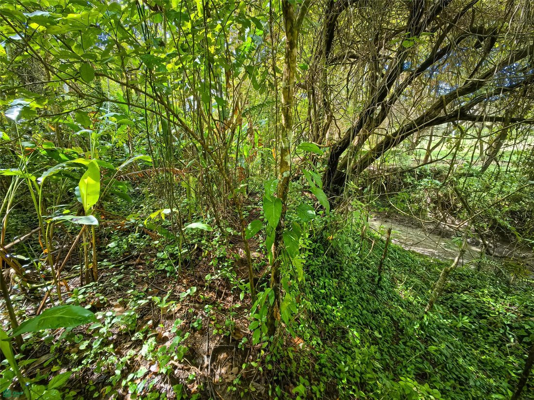 Terreno en Santa Teresa, Provincia de Puntarenas, Costa Rica 4 - 17810867