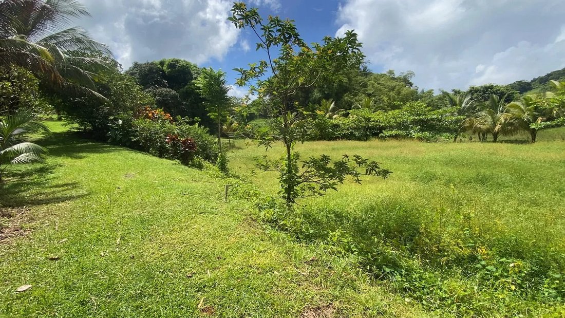 Estate in Le Morne Rouge, Saint-Pierre, Martinique 4 - 19040548