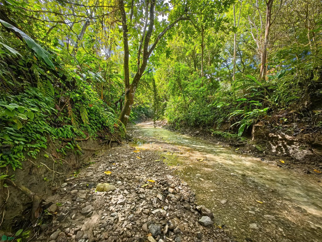 Terreno en Santa Teresa, Provincia de Puntarenas, Costa Rica 3 - 17810867