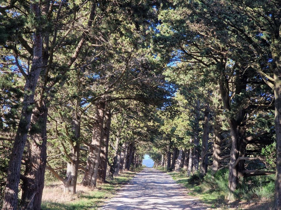 Azienda agricola a Carcassona, Occitania, Francia 1 - 15019609