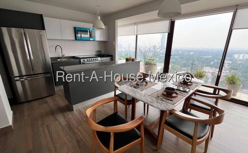 Apartment in Mexico City, Mexico 1