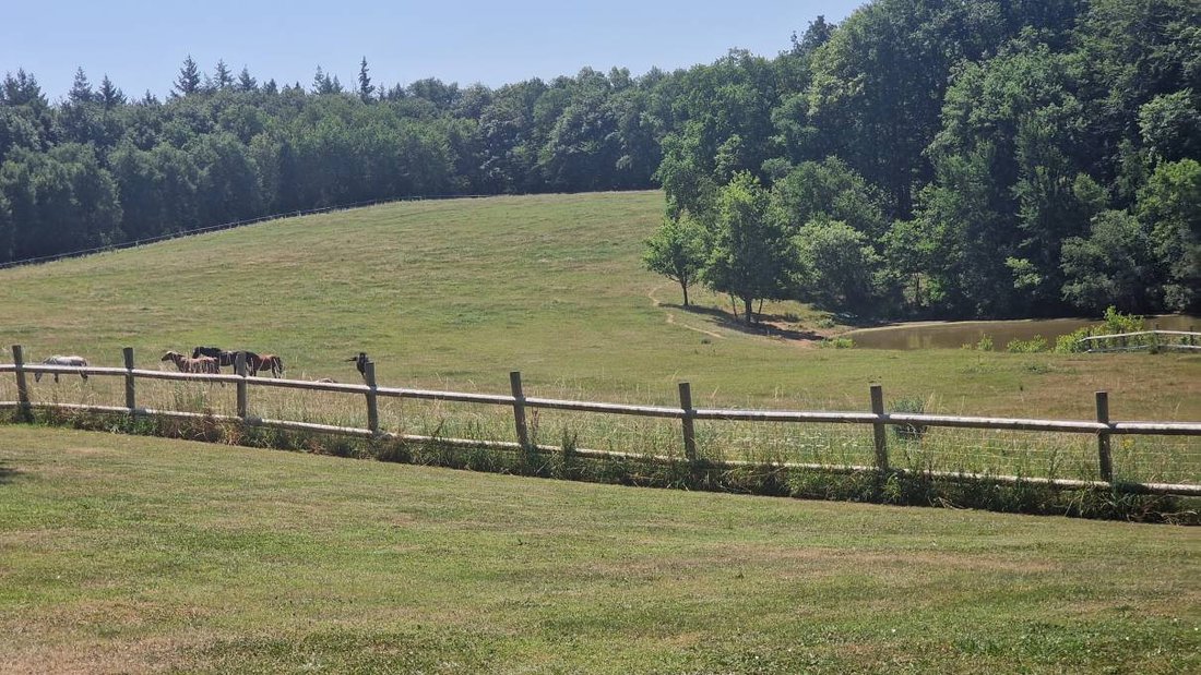 Rancho en Centre Ancien, Pamiers, Francia 4 - 18649957