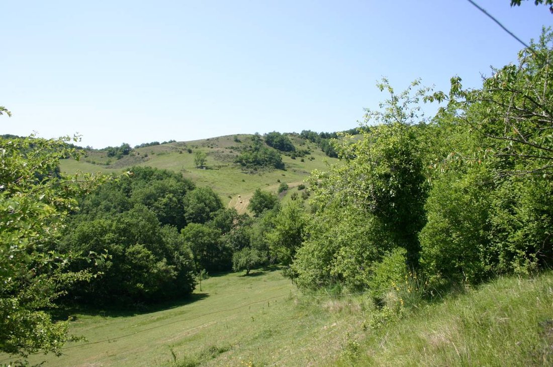 Farm Ranch in Centre Ville, Limoux, Frankreich 3 - 11218615