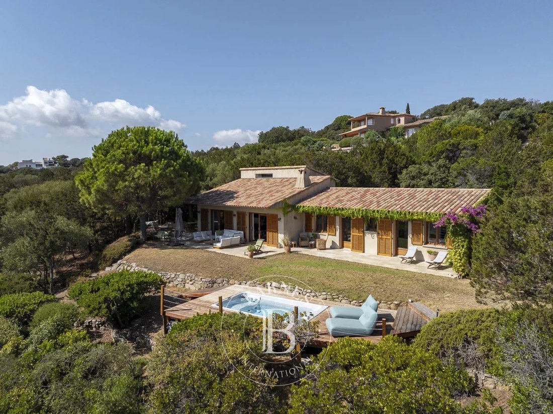 Apartment in Lecci, Corsica, France 1 - 19037444