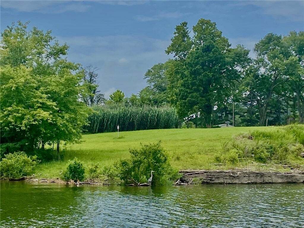 Maison à Green Forest, Arkansas, États-Unis 3 - 18179406