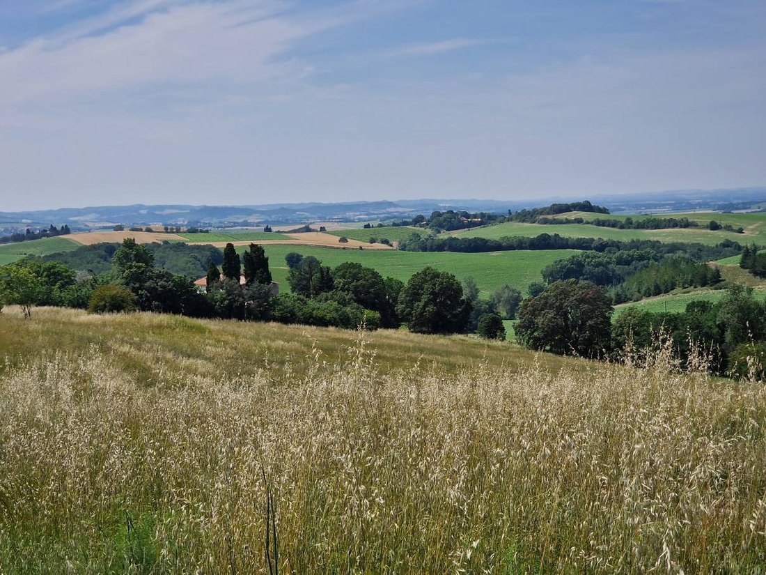 Corps de ferme à Carcassonne, Occitanie, France 2 - 12788877