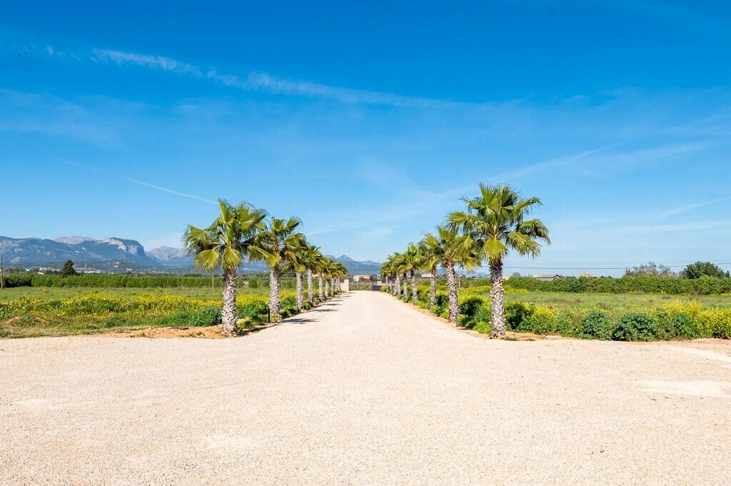 Farm Ranch in Santa Maria del Cami, Balearic Islands, Spain 4 - 12652354