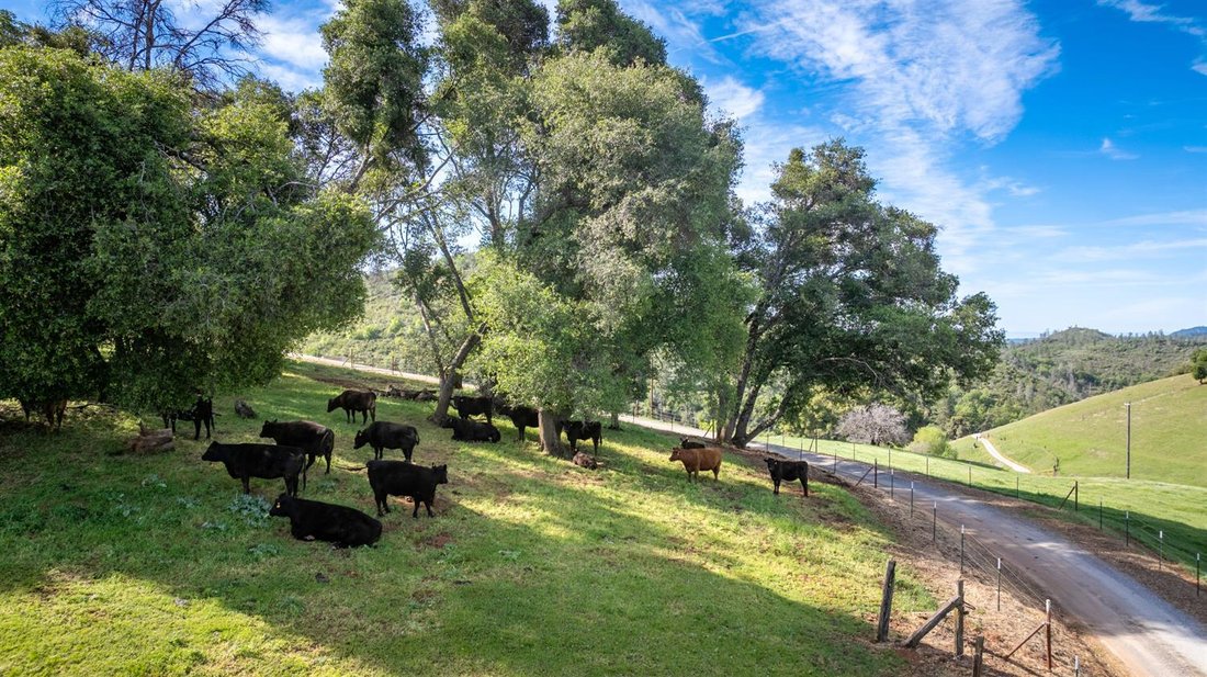 Terreno en Mokelumne Hill, California, Estados Unidos 2 - 19038315