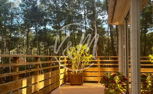 Chalet in Le Porge, Neu-Aquitanien, Frankreich 1