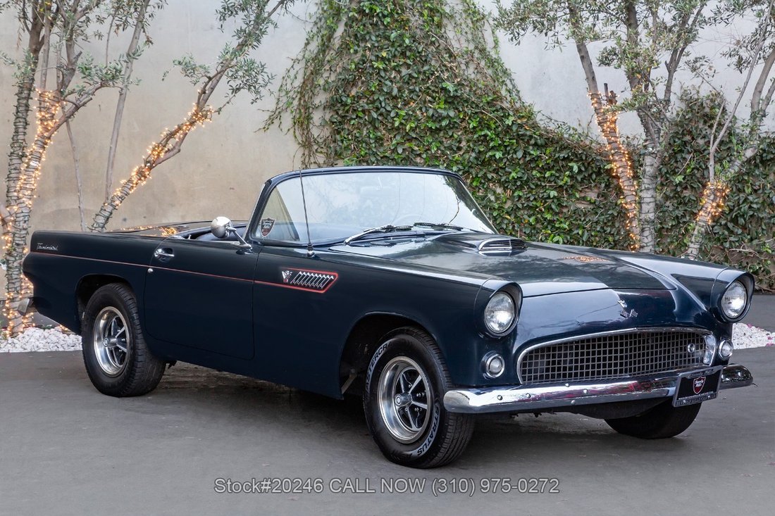 Ford Thunderbird in Los Angeles, CA 1 - 19042393
