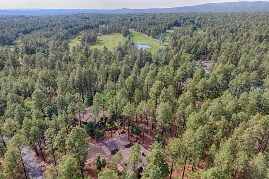 Otros en Pinetop, Arizona, Estados Unidos 3 - 19041962