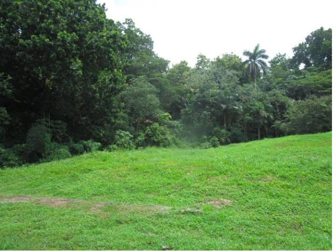Land in Panama City, Provinz Panamá, Panama 2 - 19042348