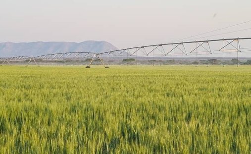 Corps de ferme à Grootfontein, Otjozondjupa Region, Namibie 1