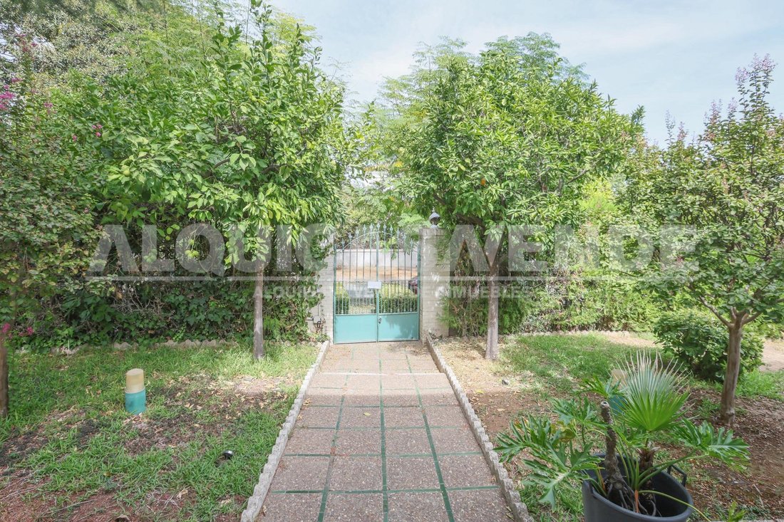 Villa in Mairena del Aljarafe, Andalusia, Spain 4 - 19042141