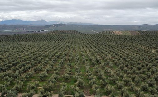 Country House in Peal de Becerro, Andalusia, Spain 1