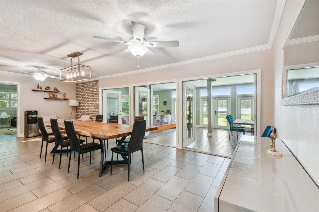 House in Land O' Lakes, Florida, United States 5 - 19041738